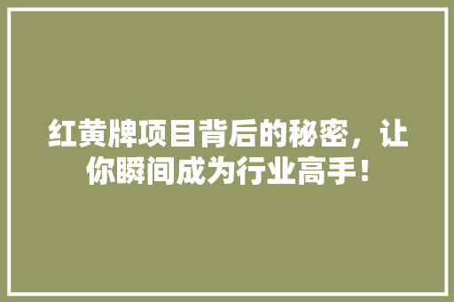 红黄牌项目背后的秘密，让你瞬间成为行业高手！