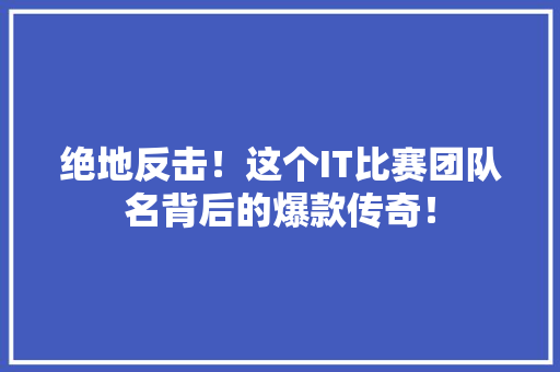 绝地反击！这个IT比赛团队名背后的爆款传奇！