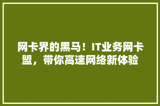 网卡界的黑马！IT业务网卡盟，带你高速网络新体验
