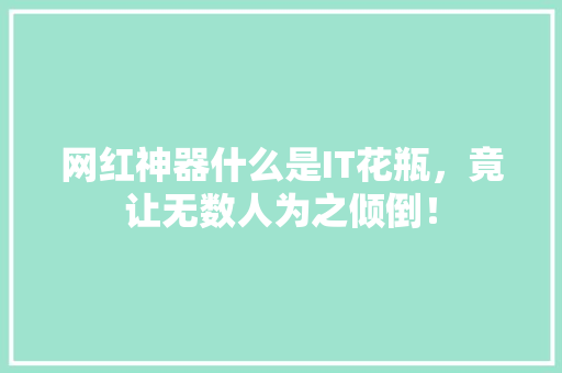 网红神器什么是IT花瓶，竟让无数人为之倾倒！