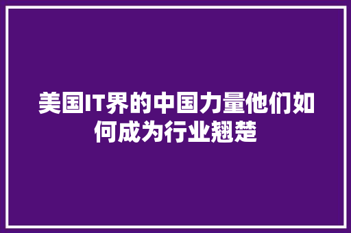 美国IT界的中国力量他们如何成为行业翘楚