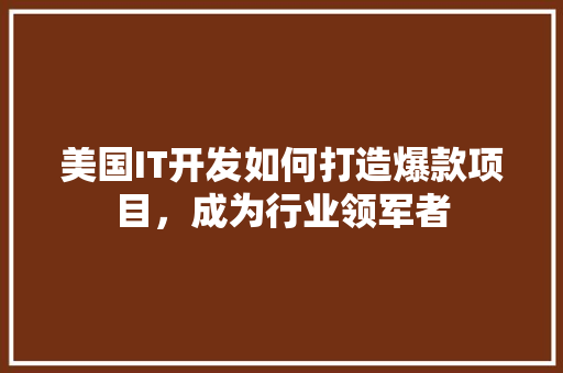 美国IT开发如何打造爆款项目，成为行业领军者