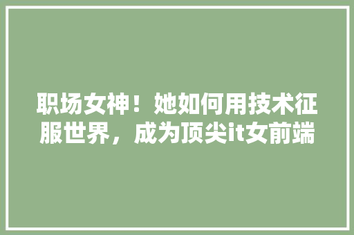 职场女神！她如何用技术征服世界，成为顶尖it女前端开发 百度SEO