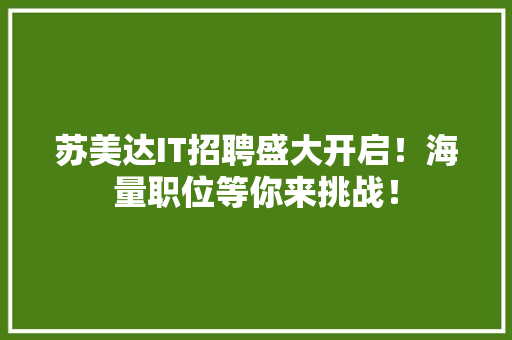苏美达IT招聘盛大开启！海量职位等你来挑战！ 网站建设公司