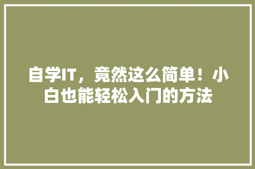 自学IT，竟然这么简单！小白也能轻松入门的方法