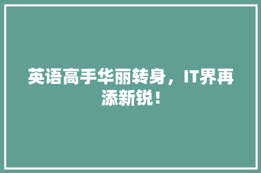 英语高手华丽转身，IT界再添新锐！