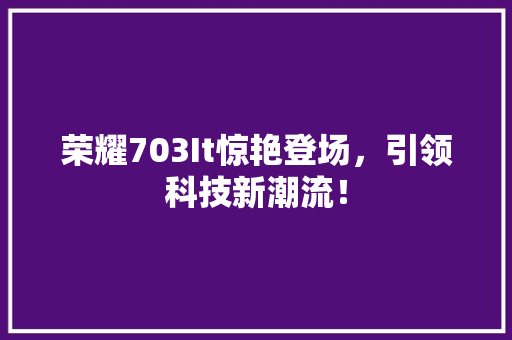 荣耀703It惊艳登场，引领科技新潮流！