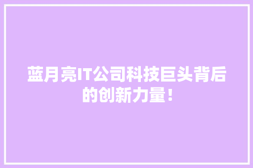 蓝月亮IT公司科技巨头背后的创新力量！