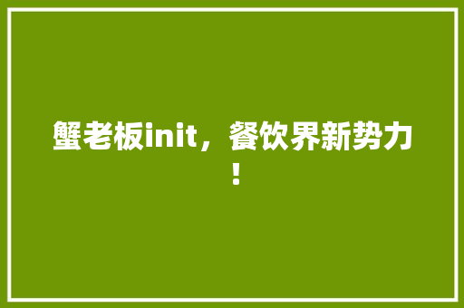 蟹老板init，餐饮界新势力！ 网站建设公司