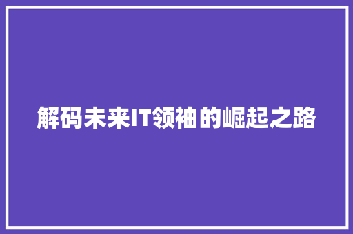 解码未来IT领袖的崛起之路
