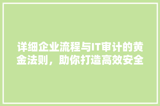 详细企业流程与IT审计的黄金法则，助你打造高效安全体系 必应SEO