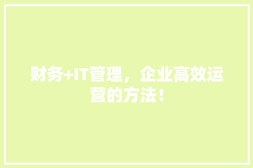 财务+IT管理，企业高效运营的方法！