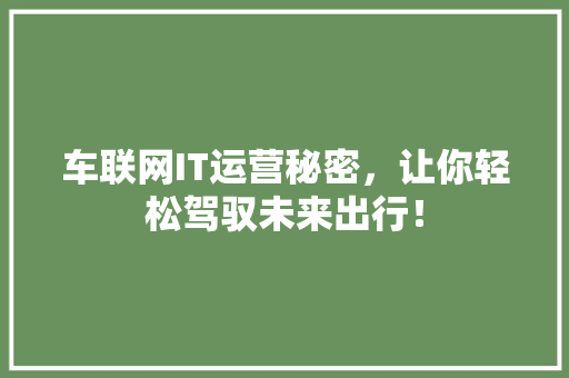 车联网IT运营秘密，让你轻松驾驭未来出行！