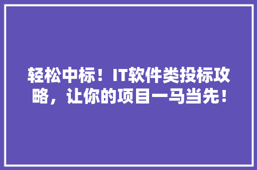 轻松中标！IT软件类投标攻略，让你的项目一马当先！