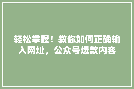 轻松掌握！教你如何正确输入网址，公众号爆款内容 网站建设公司