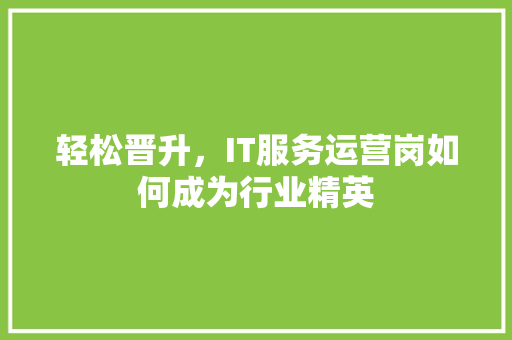 轻松晋升，IT服务运营岗如何成为行业精英