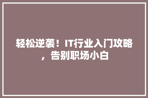 轻松逆袭！IT行业入门攻略，告别职场小白 SEO关键词