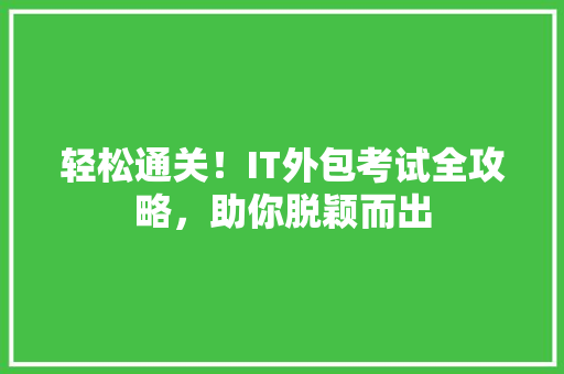 轻松通关！IT外包考试全攻略，助你脱颖而出 神马SEO