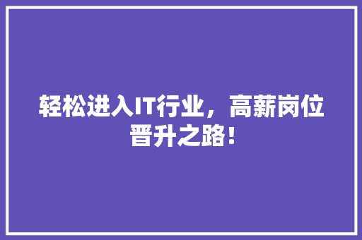 轻松进入IT行业，高薪岗位晋升之路！