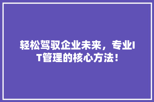 轻松驾驭企业未来，专业IT管理的核心方法！ SEO关键词