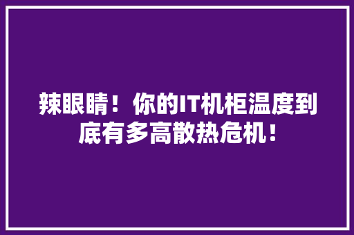 辣眼睛！你的IT机柜温度到底有多高散热危机！ SEO关键词
