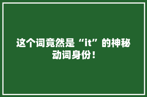 这个词竟然是“it”的神秘动词身份！