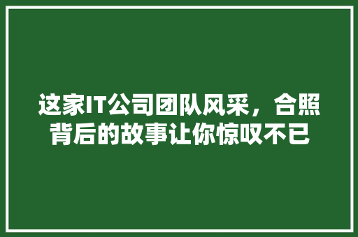 这家IT公司团队风采，合照背后的故事让你惊叹不已 SEO关键词