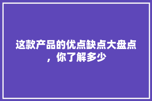 这款产品的优点缺点大盘点，你了解多少 SEO关键词
