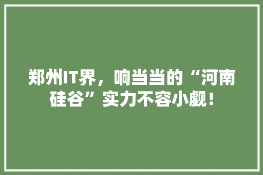 郑州IT界，响当当的“河南硅谷”实力不容小觑！