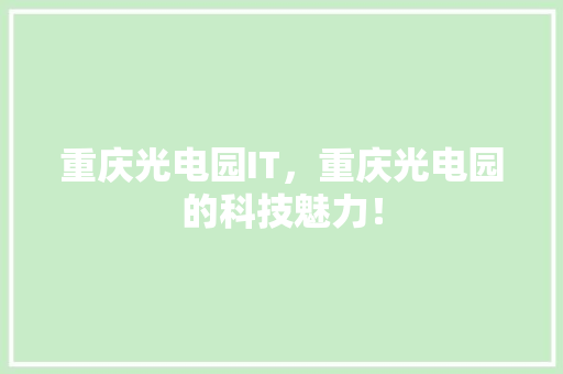 重庆光电园IT，重庆光电园的科技魅力！