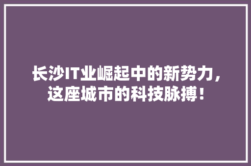 长沙IT业崛起中的新势力，这座城市的科技脉搏！