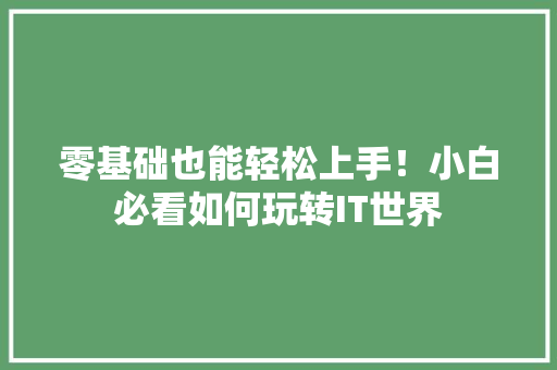 零基础也能轻松上手！小白必看如何玩转IT世界