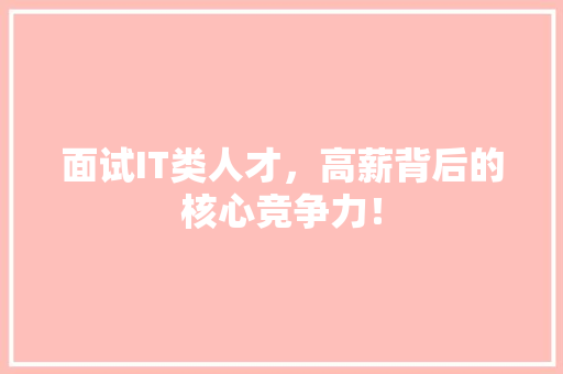 面试IT类人才，高薪背后的核心竞争力！ 神马SEO