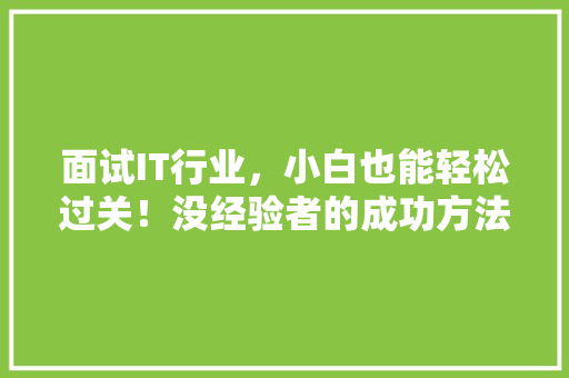 面试IT行业，小白也能轻松过关！没经验者的成功方法