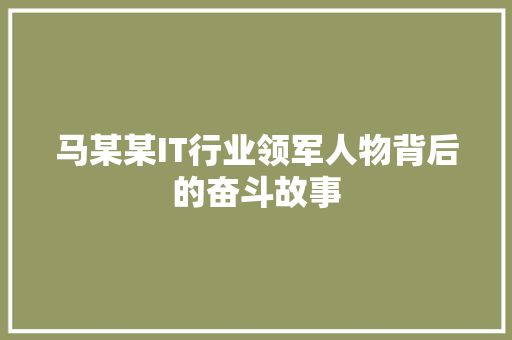 马某某IT行业领军人物背后的奋斗故事