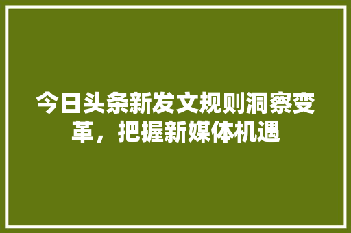 今日头条新发文规则洞察变革，把握新媒体机遇