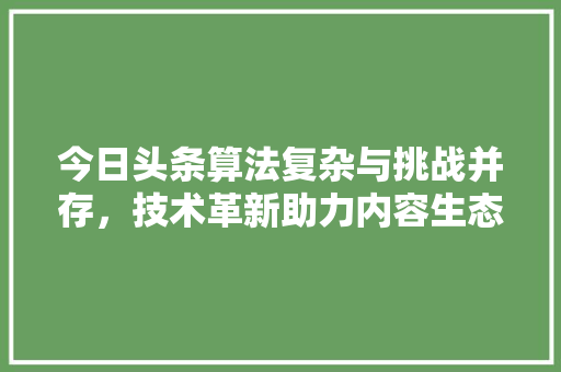今日头条算法复杂与挑战并存，技术革新助力内容生态 神马SEO