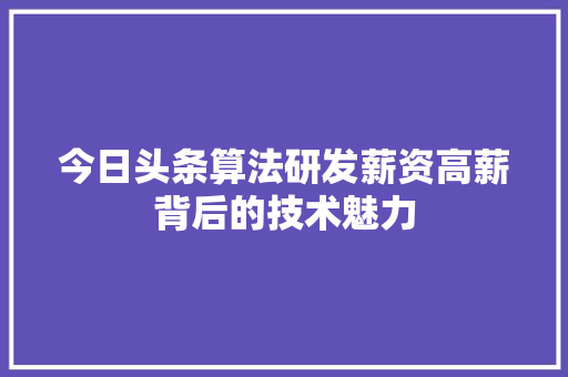 今日头条算法研发薪资高薪背后的技术魅力 神马SEO