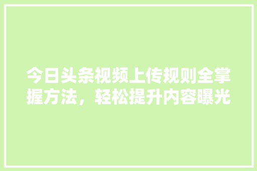 今日头条视频上传规则全掌握方法，轻松提升内容曝光率 网站建设公司