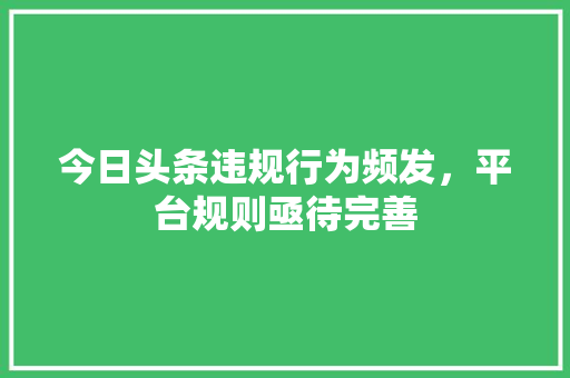 今日头条违规行为频发，平台规则亟待完善 网站建设公司