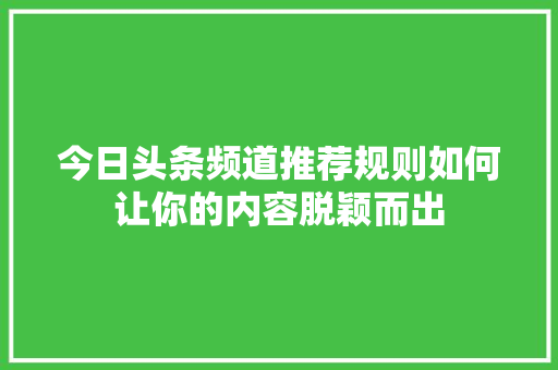 今日头条频道推荐规则如何让你的内容脱颖而出