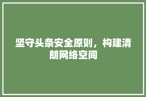 坚守头条安全原则，构建清朗网络空间 神马SEO