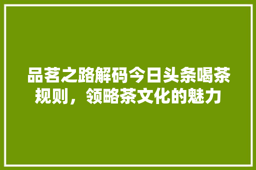 品茗之路解码今日头条喝茶规则，领略茶文化的魅力