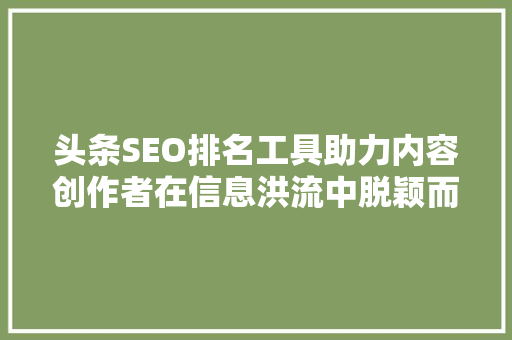 头条SEO排名工具助力内容创作者在信息洪流中脱颖而出