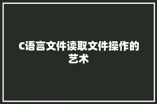 C语言文件读取文件操作的艺术