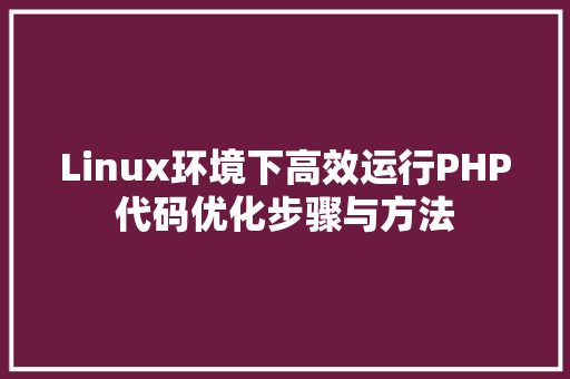 Linux环境下高效运行PHP代码优化步骤与方法 百度SEO