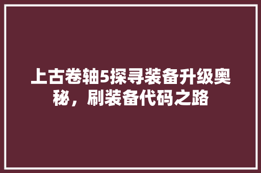 上古卷轴5探寻装备升级奥秘，刷装备代码之路