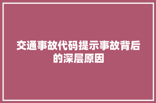 交通事故代码提示事故背后的深层原因 必应SEO