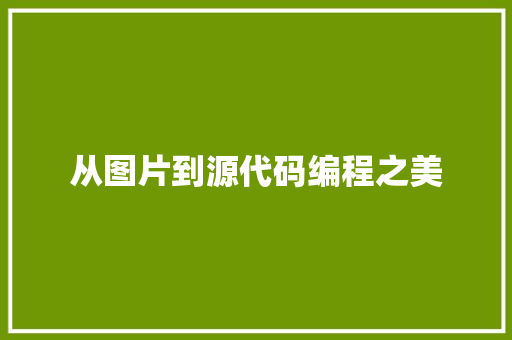从图片到源代码编程之美 必应SEO