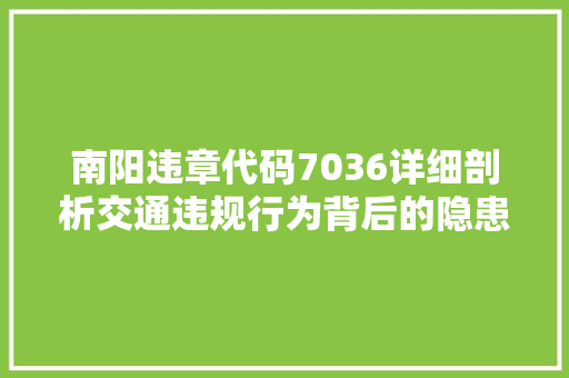 南阳违章代码7036详细剖析交通违规行为背后的隐患与治理
